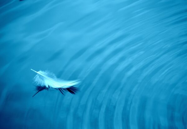 The Smart Pasta Edit: Effortless Weekday Flavor