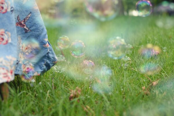 Sear, Simmer, Savor — Effortless Dinner Elevation