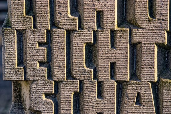 Lean Turkey Mince: Speedy Suppers, Elevated Everyday Flavor