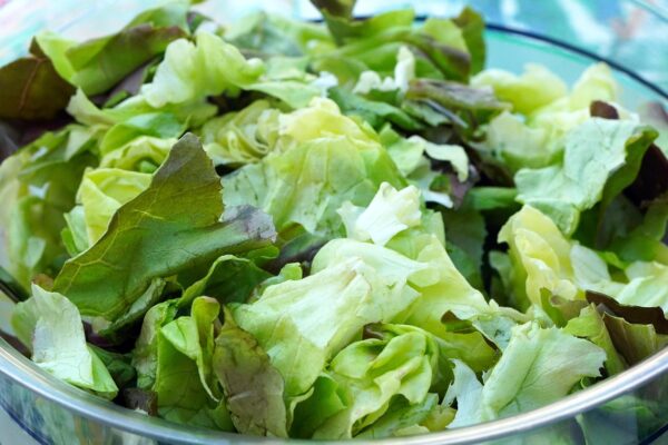 The Keto Peanut Butter Debate: Brands, Sugar, And Net Carbs